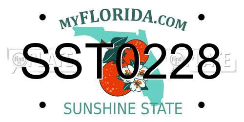 SST0228 Florida License Plate