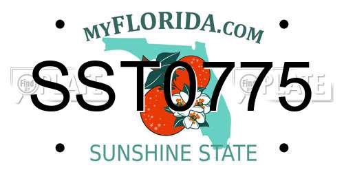 SST0775 Florida License Plate