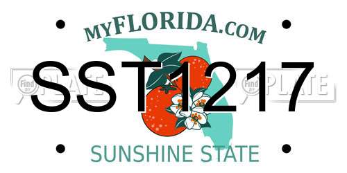 SST1217 Florida License Plate
