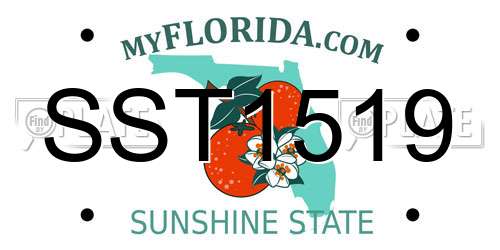 SST1519 Florida License Plate
