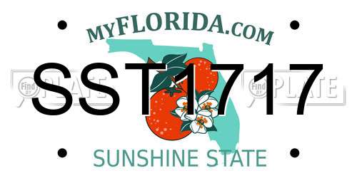 SST1717 Florida License Plate