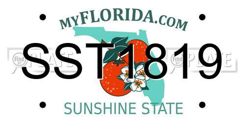 SST1819 Florida License Plate