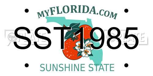 SST1985 Florida License Plate