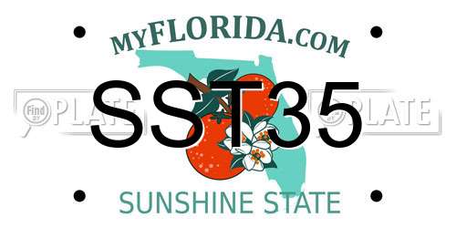 SST35 Florida License Plate
