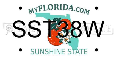 SST38W Florida License Plate