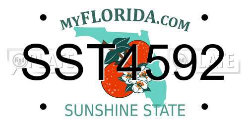 SST4592 Florida License Plate