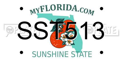 SST513 Florida License Plate