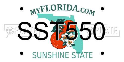 SST550 Florida License Plate
