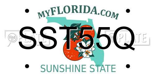 SST55Q Florida License Plate