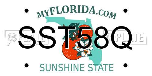 SST58Q Florida License Plate