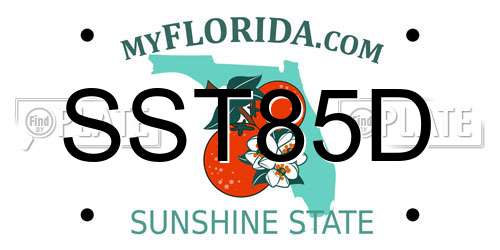SST85D Florida License Plate