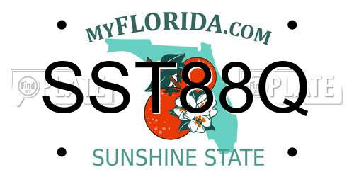 SST88Q Florida License Plate