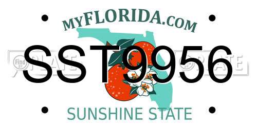 SST9956 Florida License Plate