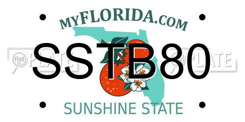 SSTB80 Florida License Plate