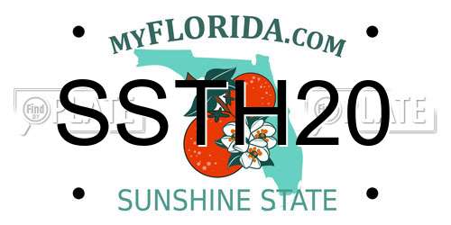 SSTH20 Florida License Plate