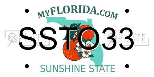 SSTO33 Florida License Plate