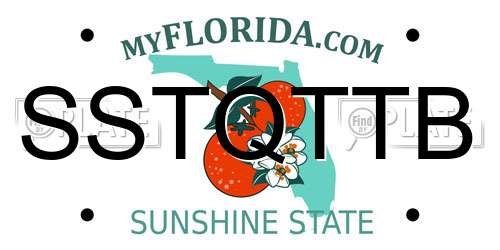 SSTQTTB Florida License Plate