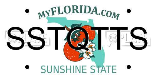 SSTQTTS Florida License Plate