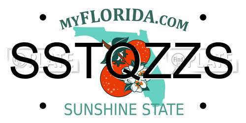 SSTQZZS Florida License Plate