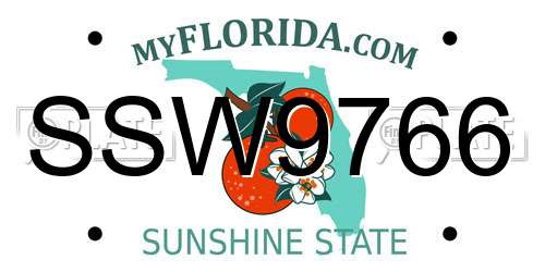 SSW9766 Florida License Plate
