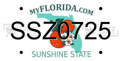 SSZ0725 Florida License Plate