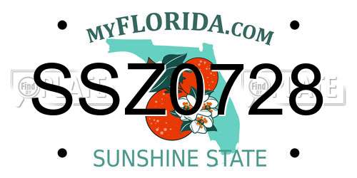SSZ0728 Florida License Plate