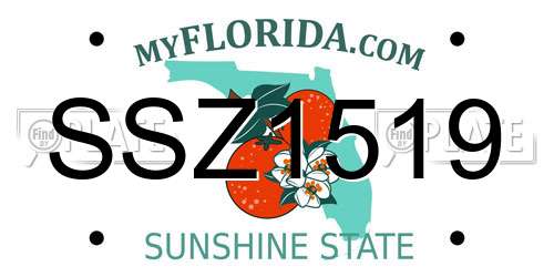 SSZ1519 Florida License Plate