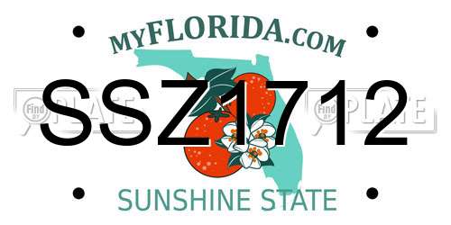 SSZ1712 Florida License Plate