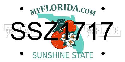 SSZ1717 Florida License Plate