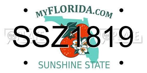 SSZ1819 Florida License Plate