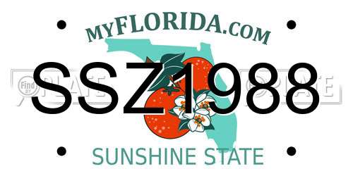 SSZ1988 Florida License Plate