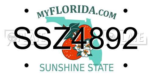 SSZ4892 Florida License Plate