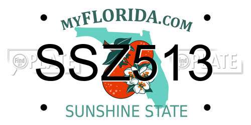 SSZ513 Florida License Plate