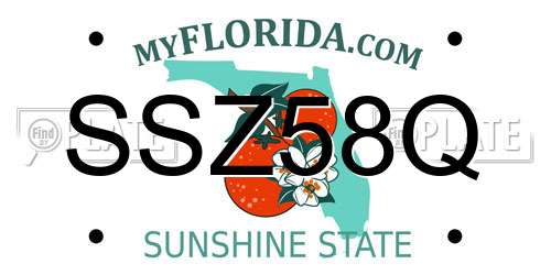 SSZ58Q Florida License Plate