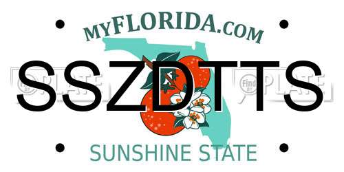 SSZDTTS Florida License Plate
