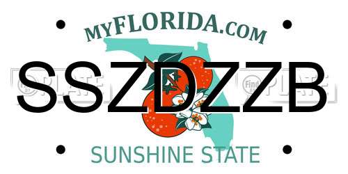SSZDZZB Florida License Plate