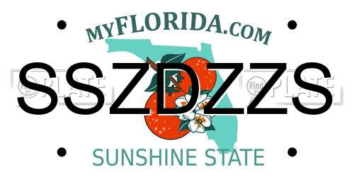 SSZDZZS Florida License Plate