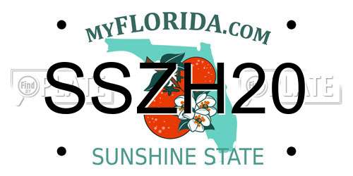 SSZH20 Florida License Plate
