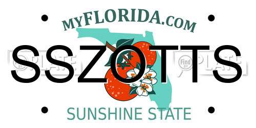SSZOTTS Florida License Plate
