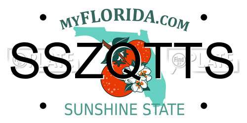 SSZQTTS Florida License Plate