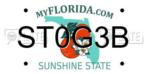 ST0G3B Florida License Plate