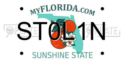 ST0L1N Florida License Plate
