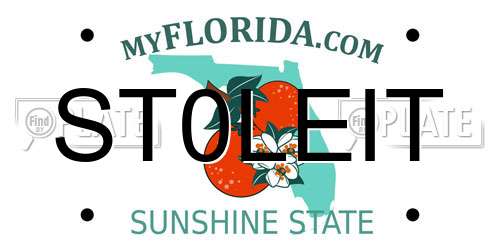 ST0LEIT Florida License Plate