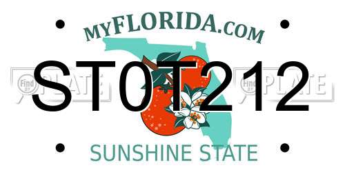 ST0T212 Florida License Plate