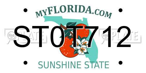 ST0T712 Florida License Plate