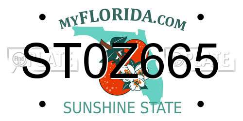 ST0Z665 Florida License Plate