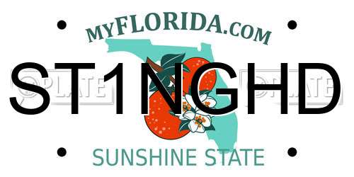 ST1NGHD Florida License Plate
