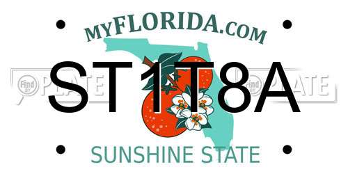 ST1T8A Florida License Plate