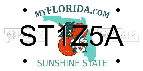 ST1Z5A Florida License Plate