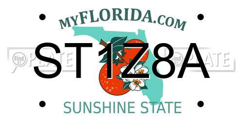 ST1Z8A Florida License Plate
